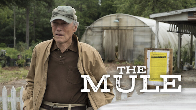 The Mule